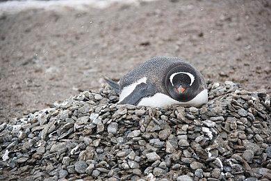 《完蛋被美女包围前传》新预告 被美女灌酒怎么办