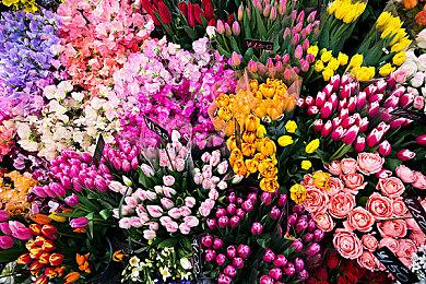 动视月活跃用户人数跌破1亿！但动视并不气馁